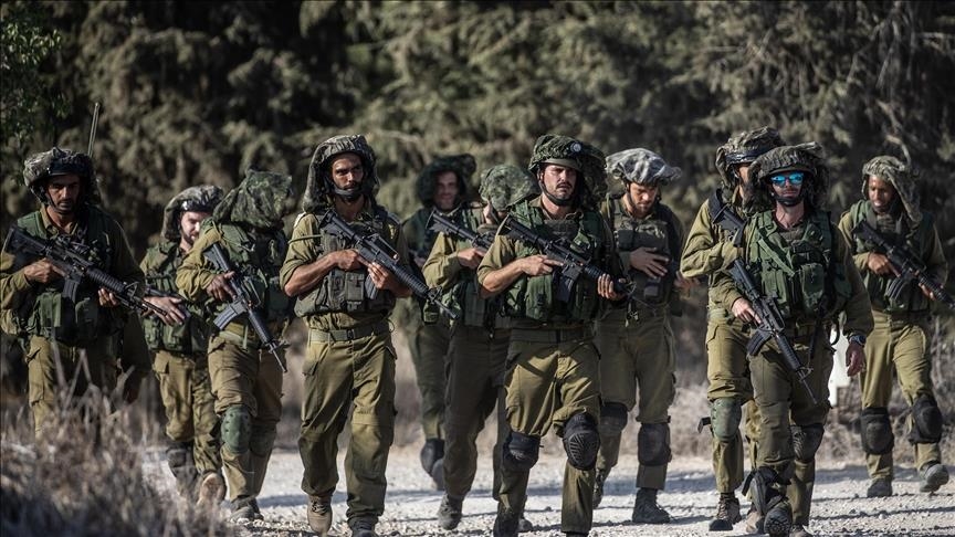 إصابة 12 جنديا إسرائيليا داسوا عشا للدبابير جنوب قطاع غزة