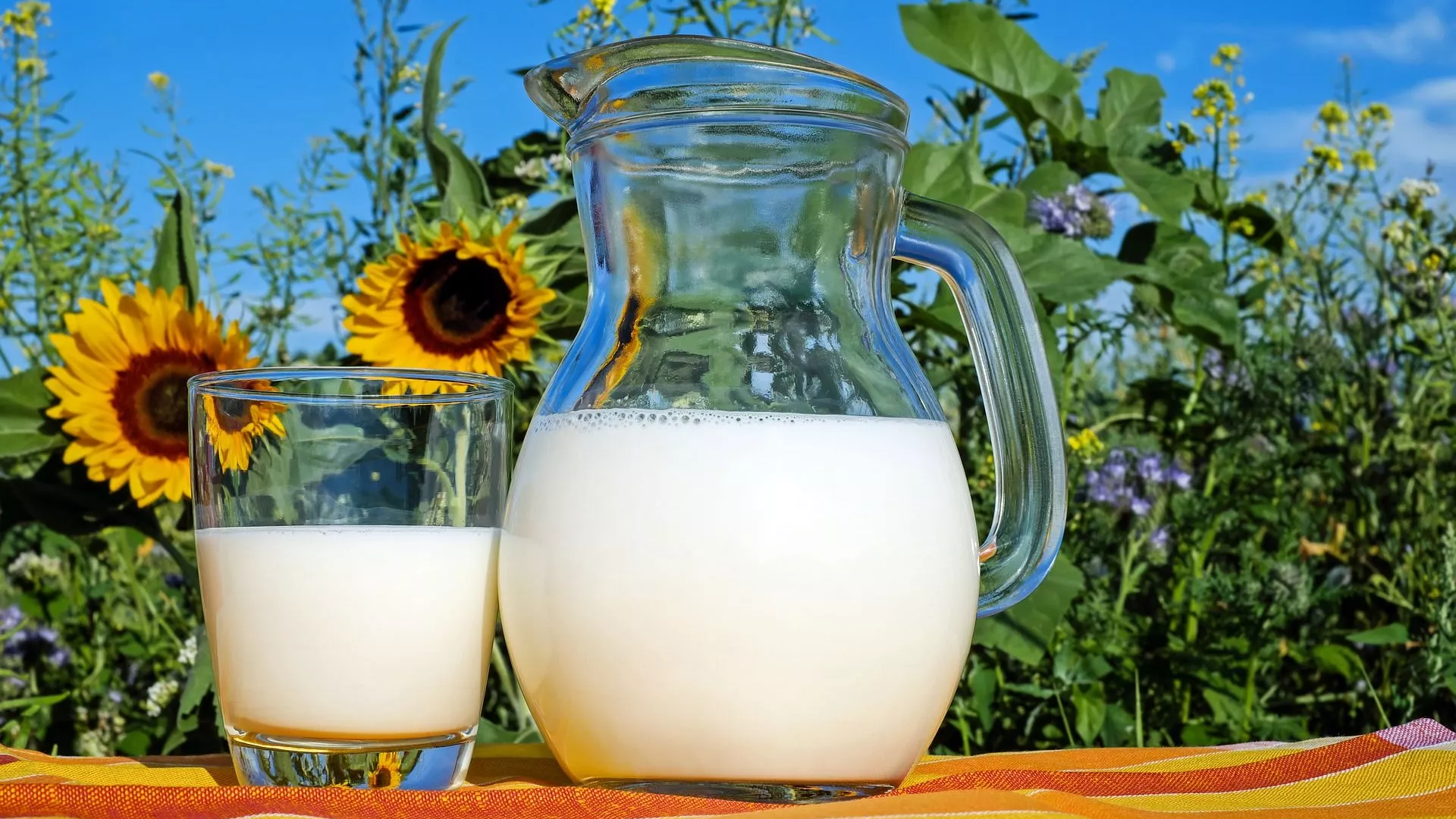 علماء يكشفون عن فوائد جمة لحليب الأبقار ويحذرون من أحد أنواعه