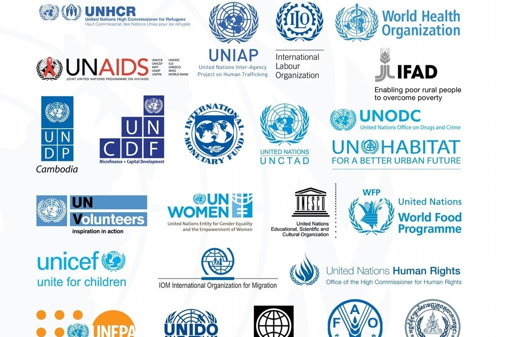 116 منظمة أممية ودولية تدعو إلى تحرك فوري لإنقاذ اليمن من حافة الهاوية